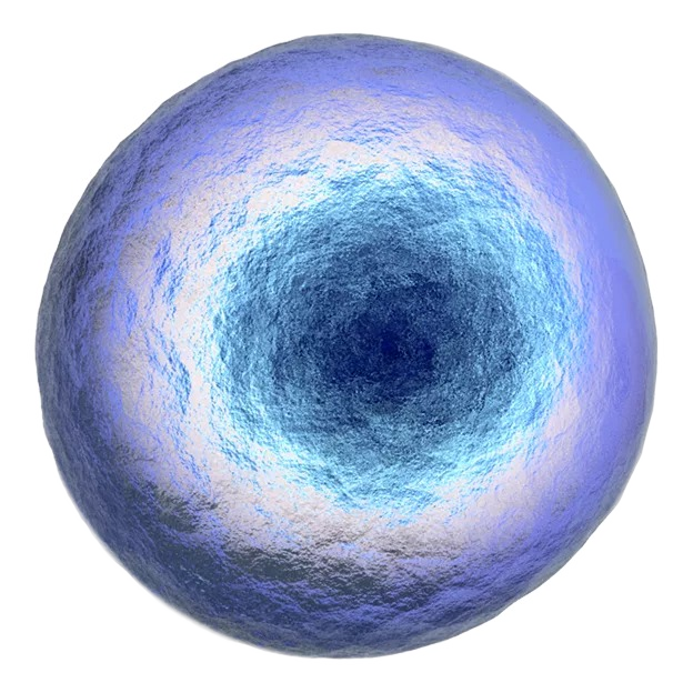 Human cell: the level at which epigenetic diagnostics read the athlete